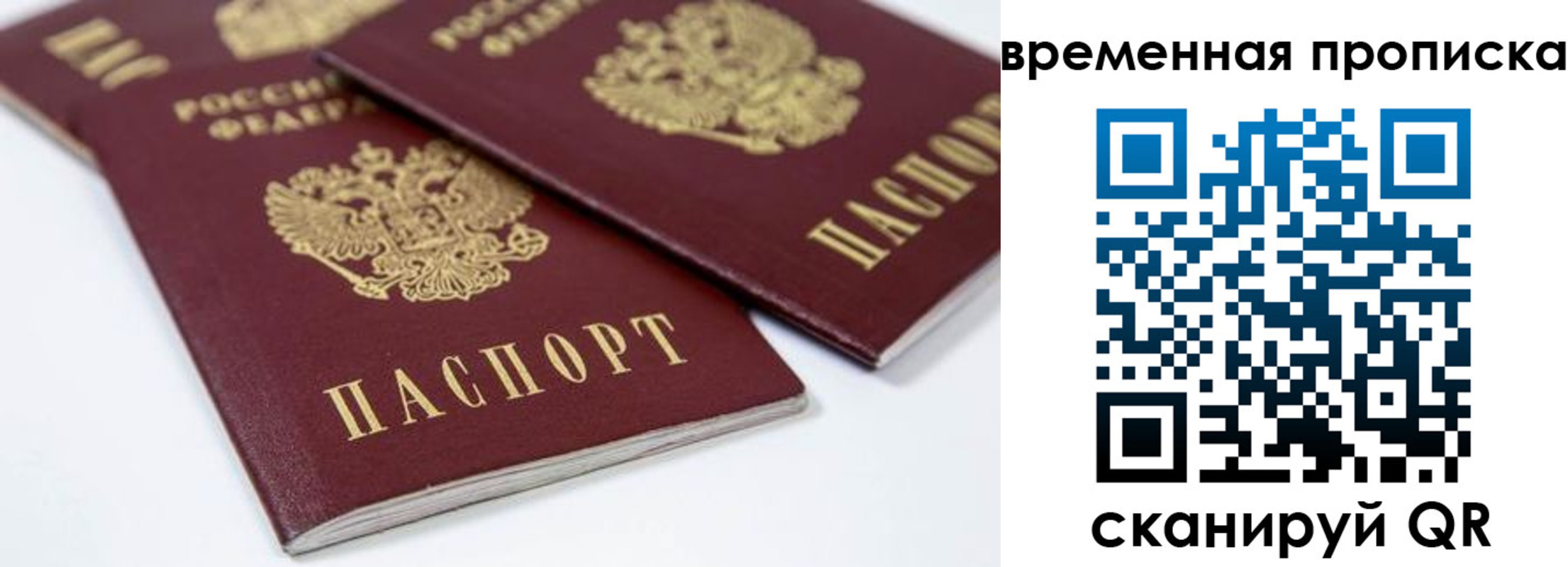 пропишу в квартире в Орехово-Зуево